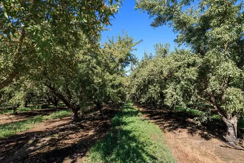 5201 N Tully Rd, Turlock, CA 95382 photo 12