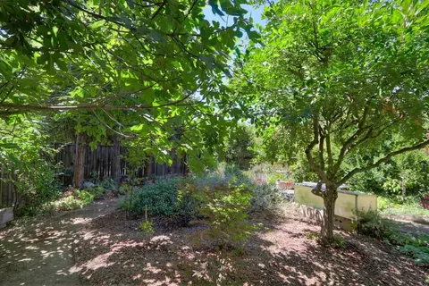 Exterior - 2324 Shenandoah Pl, Davis, CA 95616 photo 24 of 47