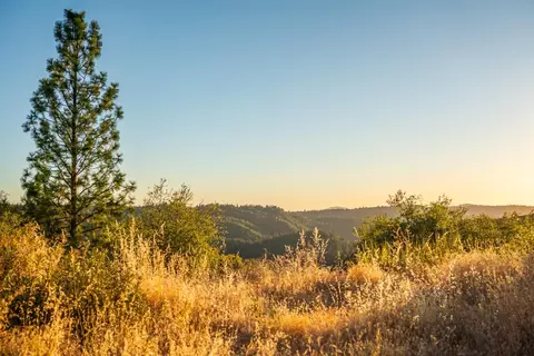 1000 Champagne Ln, Placerville, CA 95667 photo 63