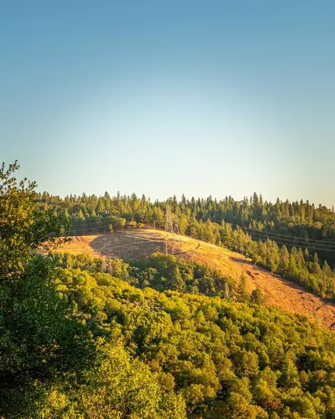 1000 Champagne Ln, Placerville, CA 95667 photo 60