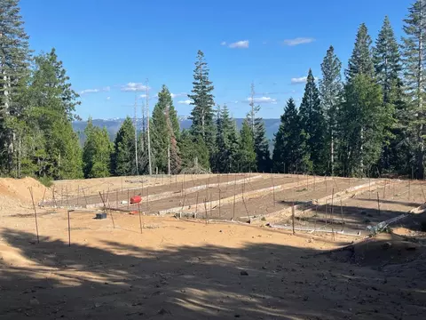 30372 Yellow Pine Ln, Nevada City, CA 95959