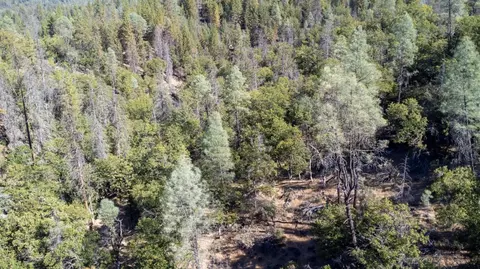 7451 Rush Creek Rd, Lewiston, CA 96052 photo 20