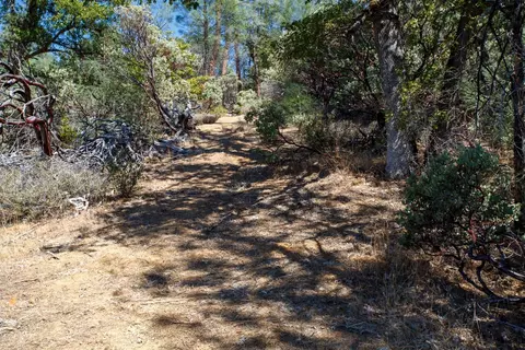 7451 Rush Creek Rd, Lewiston, CA 96052 photo 4