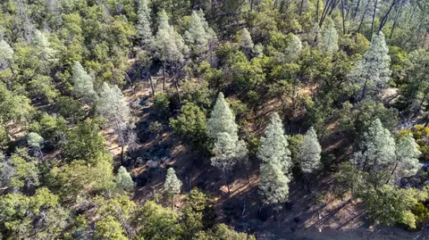 7451 Rush Creek Rd, Lewiston, CA 96052 photo 39