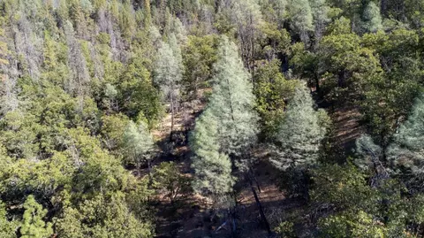 7451 Rush Creek Rd, Lewiston, CA 96052 photo 19