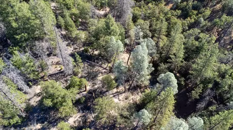 7451 Rush Creek Rd, Lewiston, CA 96052 photo 33