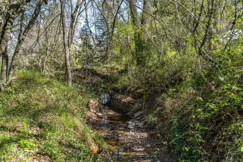 16800 Climax Rd, Jackson, CA 95642 photo 57