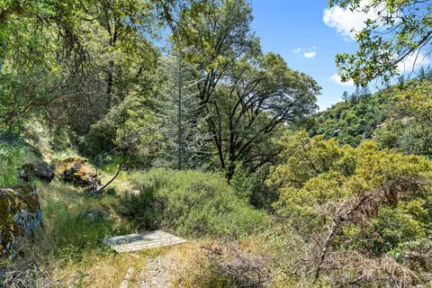 5650 Bucks Bar Rd, Placerville, CA 95667 photo 49