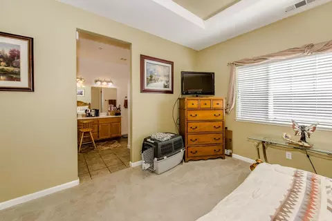 16693 Freeman St, Esparto, CA 95627 photo 18