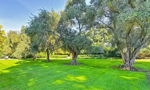 Exterior - 13870 River Rd, Walnut Grove, CA 95690 photo 15 of 23