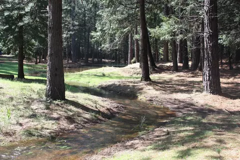 Other - 19435 Cherokee Ln, Volcano, CA 95689 photo 8 of 8