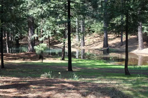 View/Area - 19435 Cherokee Ln, Volcano, CA 95689 photo 1 of 1
