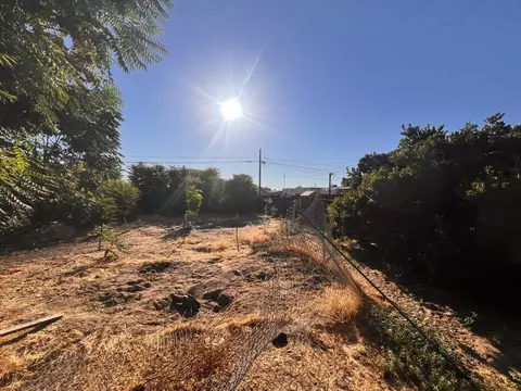 328 N Maple, Manteca, CA 95336 photo 10