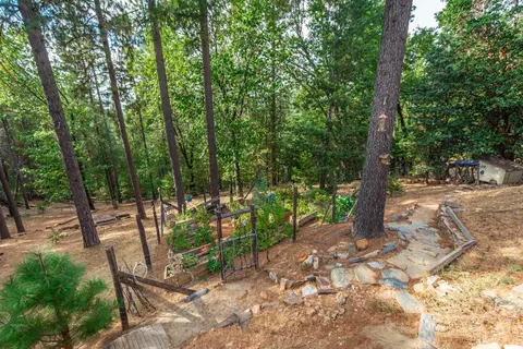 Exterior - 6298 Pine Needle Ln, Placerville, CA 95667 photo 19 of 20