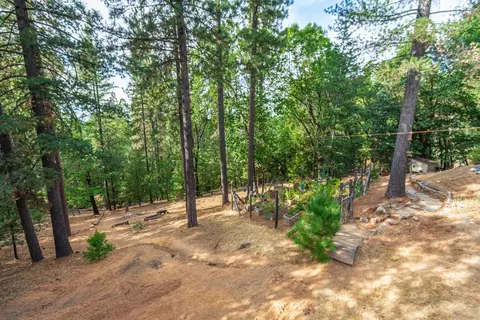 Exterior - 6298 Pine Needle Ln, Placerville, CA 95667 photo 20 of 20