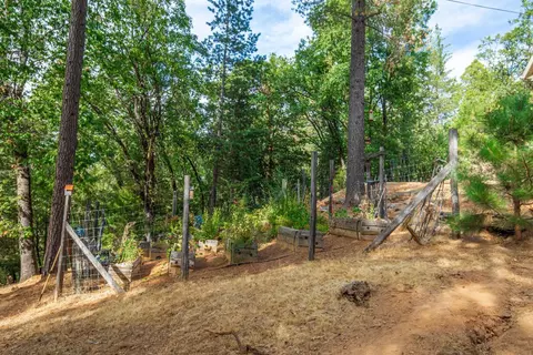 Exterior - 6298 Pine Needle Ln, Placerville, CA 95667 photo 17 of 20
