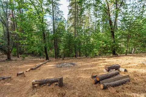 Exterior - 6298 Pine Needle Ln, Placerville, CA 95667 photo 18 of 20
