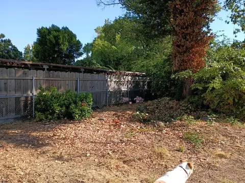 Exterior - 1024 Arbutus Ave, Chico, CA 95926 photo 3 of 6