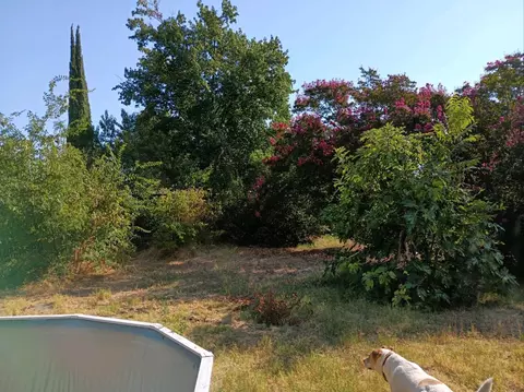 Exterior - 1024 Arbutus Ave, Chico, CA 95926 photo 2 of 6