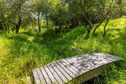 3200 Texas Hill Rd, Placerville, CA 95667 photo 24