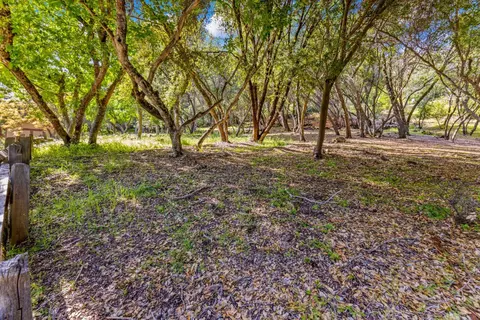 3200 Texas Hill Rd, Placerville, CA 95667 photo 21