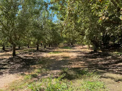 28136 Lemon Ave, Escalon, CA 95320 photo 1