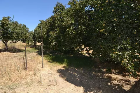 3500 Mcgee Rd, Ceres, CA 95307 photo 27