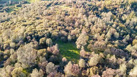 11955 Birchville Rd, Nevada City, CA 95959