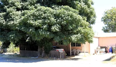 1904 Tucson Ave, Modesto, CA 95358 photo 3