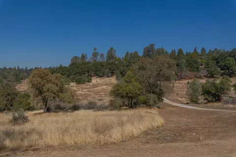 19835 Buckeye Dr, Volcano, CA 95689 photo 32