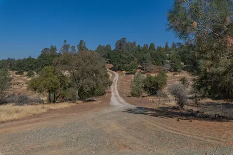 19835 Buckeye Dr, Volcano, CA 95689 photo 31