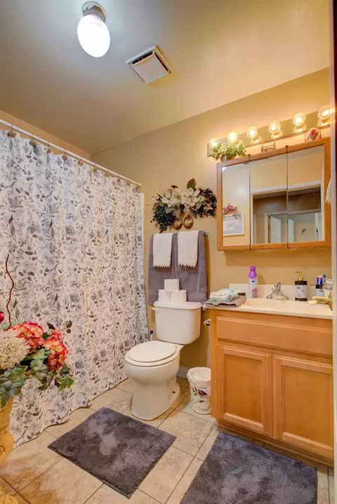 Bath - 1509 Grenache Ct, Modesto, CA 95358 photo 1 of 3