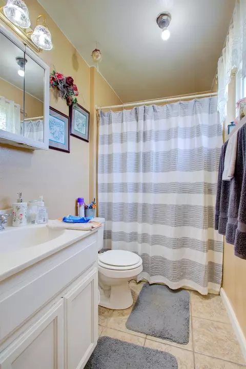 Bath - 1509 Grenache Ct, Modesto, CA 95358 photo 3 of 3