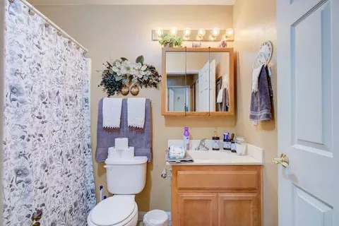 Bath - 1509 Grenache Ct, Modesto, CA 95358 photo 2 of 3