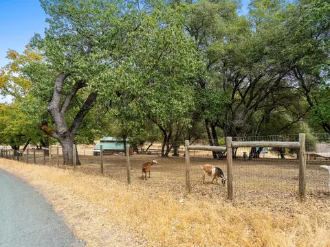 Other - 3980 Freedom Rd, Placerville, CA 95667 photo 6 of 10