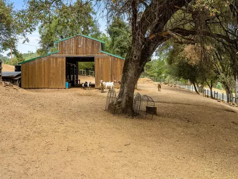 Exterior - 3980 Freedom Rd, Placerville, CA 95667 photo 13 of 23