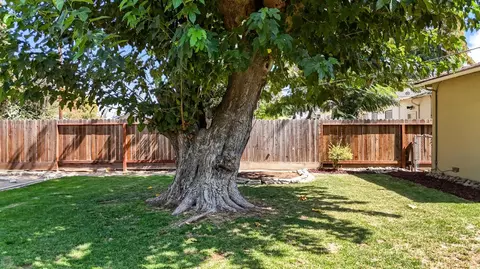 Exterior - 2311 Carol St, Modesto, CA 95354 photo 6 of 19