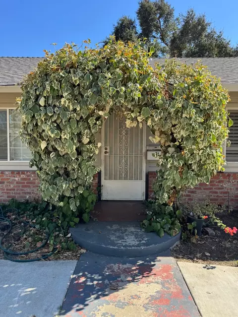 2204 Poplar, Stockton, CA 95205 photo 6