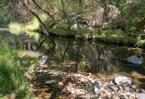 17530 Scopar Rd, Grass Valley, CA 95949 photo 11
