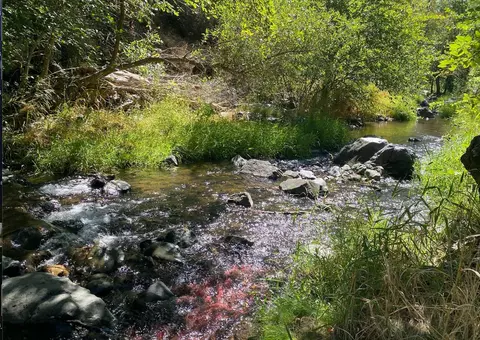 17530 Scopar Rd, Grass Valley, CA 95949 photo 6