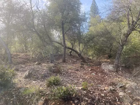 17530 Scopar Rd, Grass Valley, CA 95949 photo 18