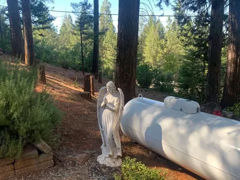 28150 Magra Rd, Colfax, CA 95713 photo 14