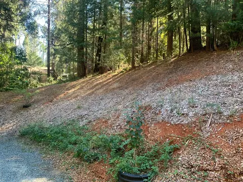 28150 Magra Rd, Colfax, CA 95713 photo 27
