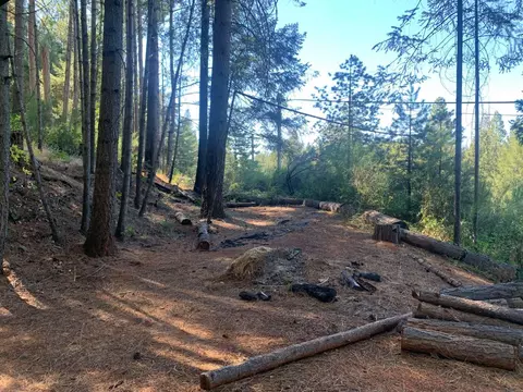 28150 Magra Rd, Colfax, CA 95713 photo 18