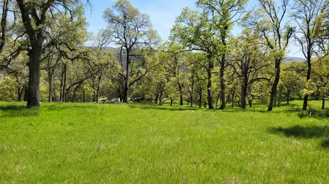 19884 Applejack, Grass Valley, CA 95949 photo 1