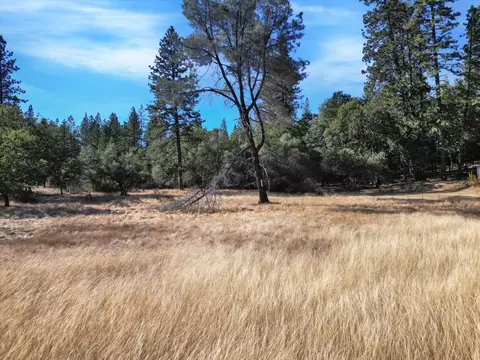 10848 Eich, Dobbins, CA 95935 photo 1