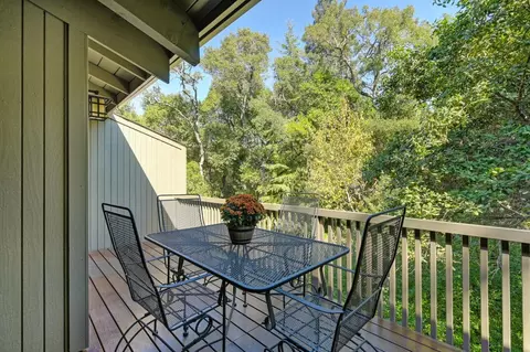 62 Riverknoll Pl, Carmichael, CA 95608 photo 34