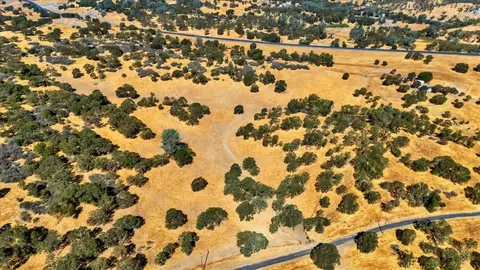 1270 Horseshoe Ln, Copperopolis, CA 95228 photo 6
