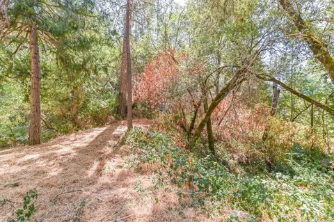 7145 Paramount Pass, Placerville, CA 95667 photo 55
