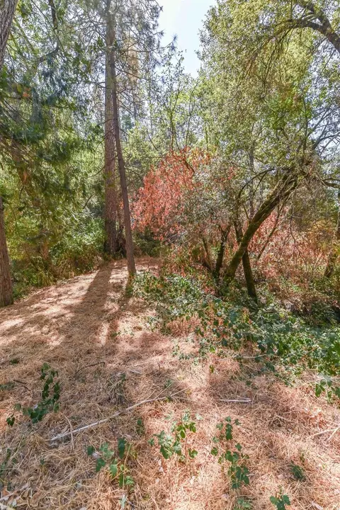 7145 Paramount Pass, Placerville, CA 95667 photo 56